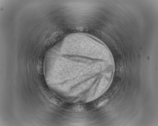 X0000088450656200706121440