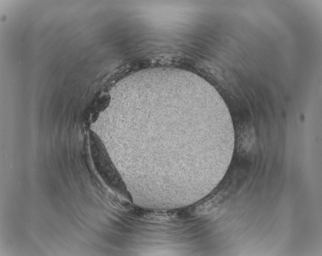 X0000088450661200706121440