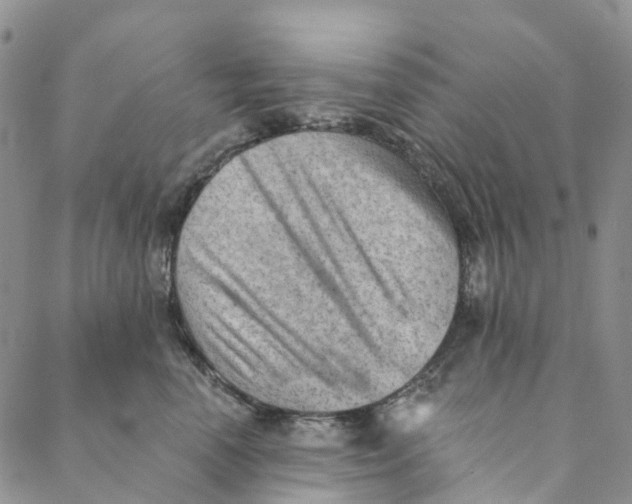 X0000088450666200706121440