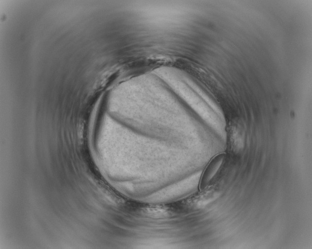 X0000088450668200706121440