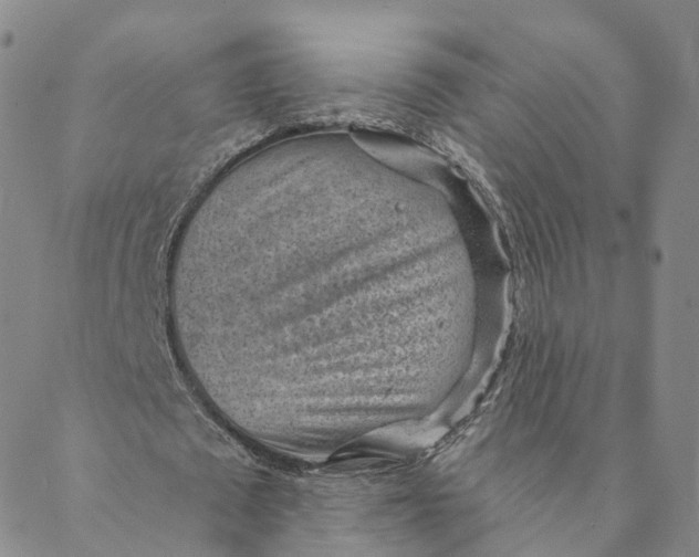 X0000088450673200706121440