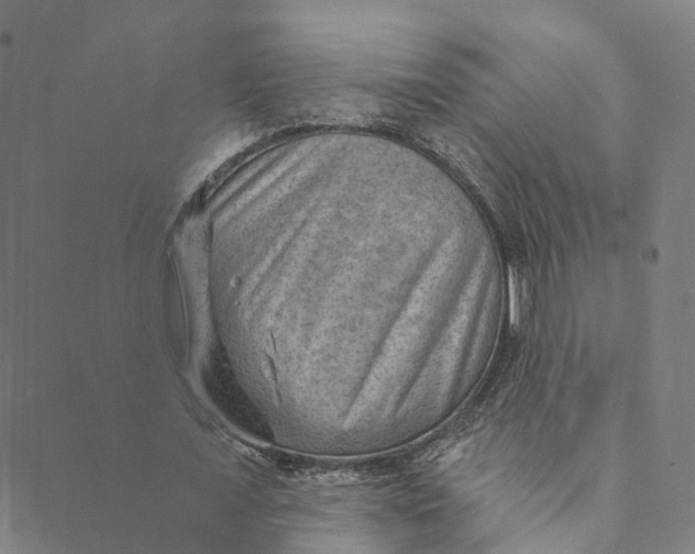 X0000088450675200706121440