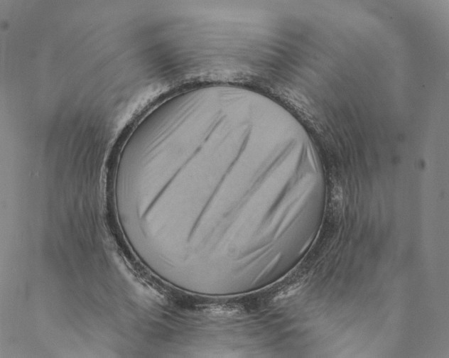 X0000088450678200706121439