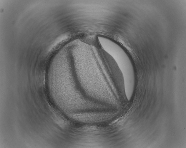 X0000088450685200706121439