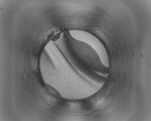 X0000088450693200706121439