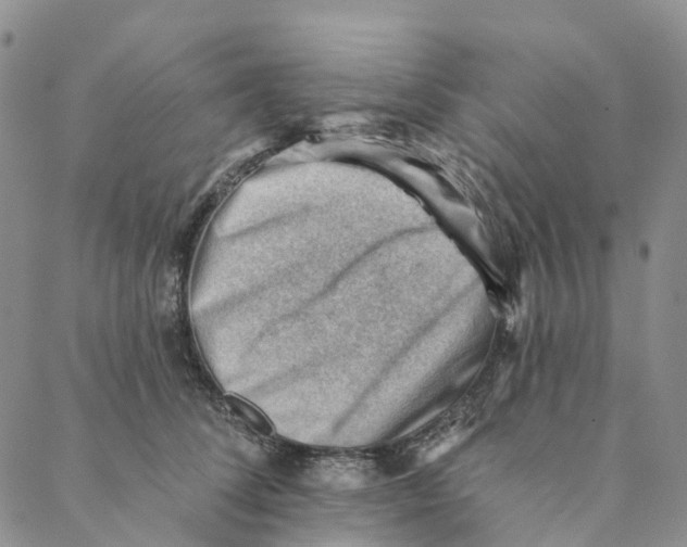 X0000088450708200706121439