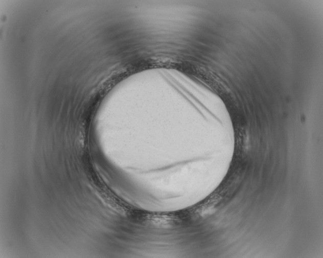 X0000088450710200706121439