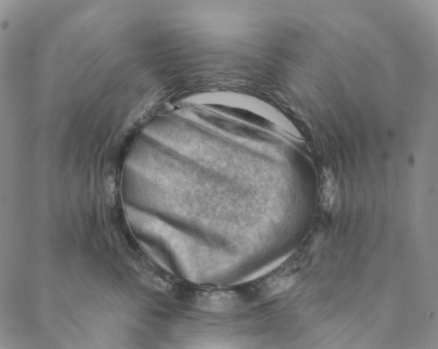 X0000088450716200706121439