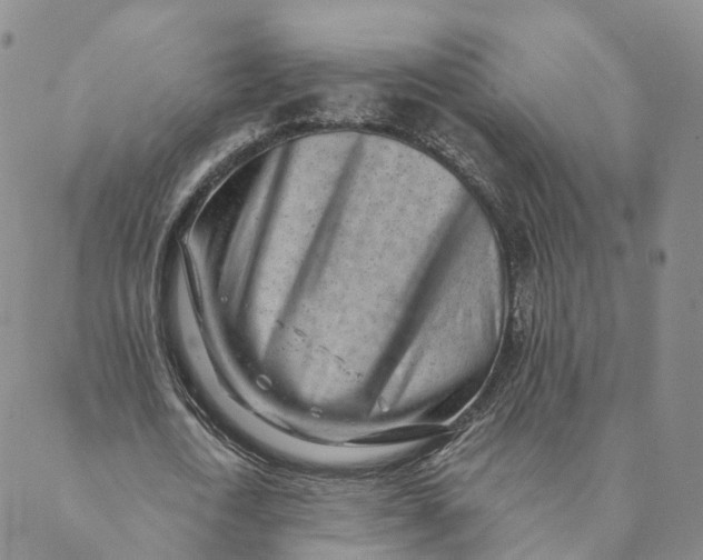 X0000088450722200706121438