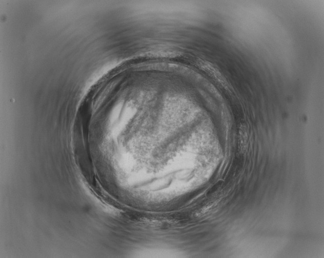 X0000088450726200706121438