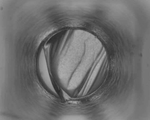 X0000088450727200706121438