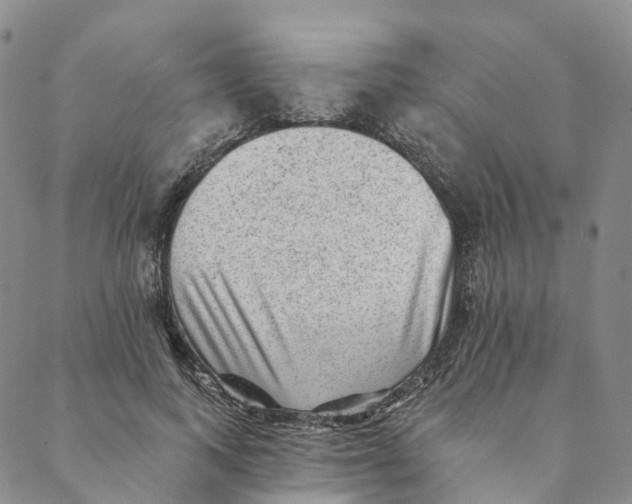 X0000088450743200706121438