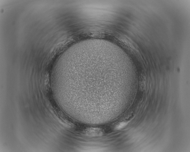 X0000088450748200706121438