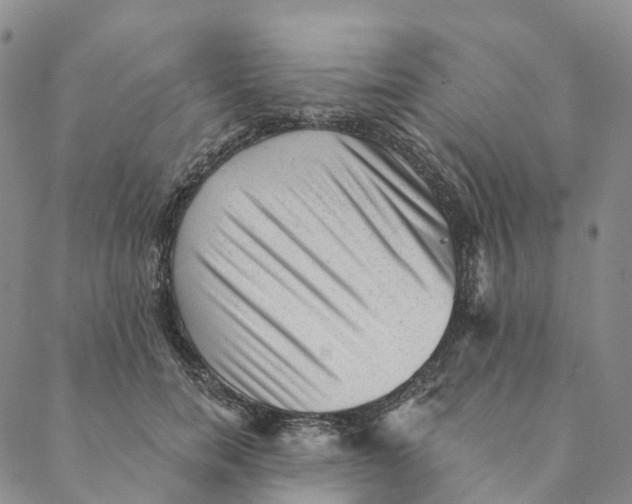 X0000088450750200706121438