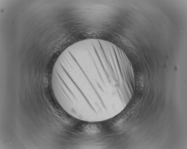 X0000088450751200706121438