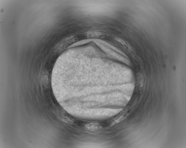 X0000088450761200706121439