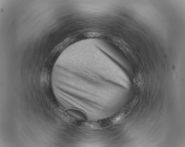 X0000088450763200706121439