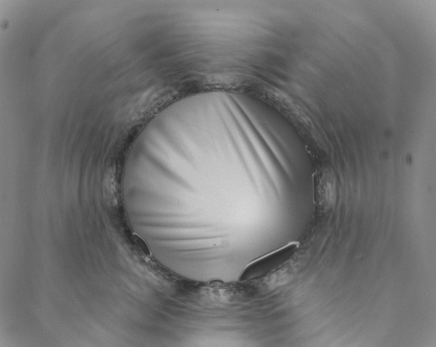 X0000088450764200706121439