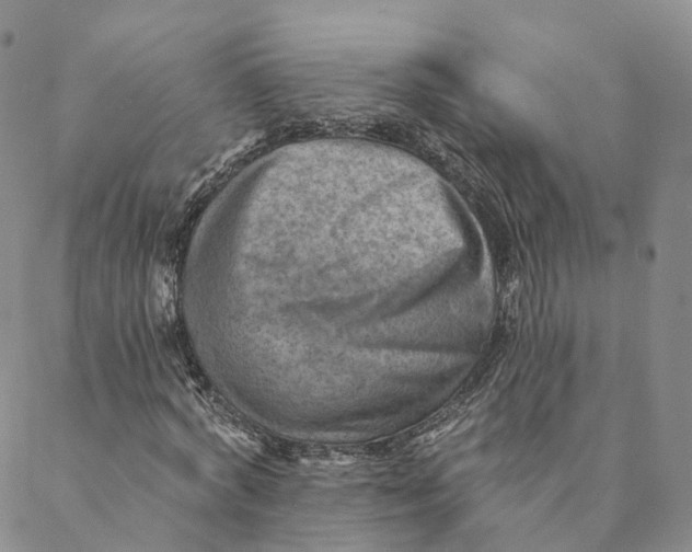 X0000088450772200706121438