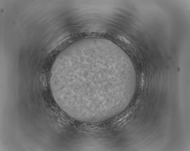 X0000088450774200706121438