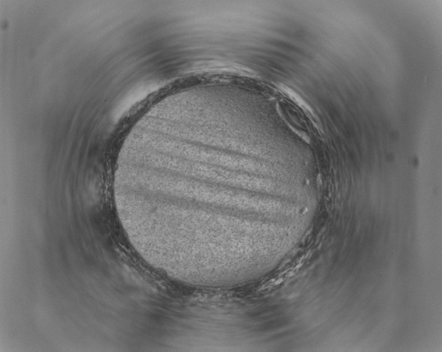 X0000088450775200706121438