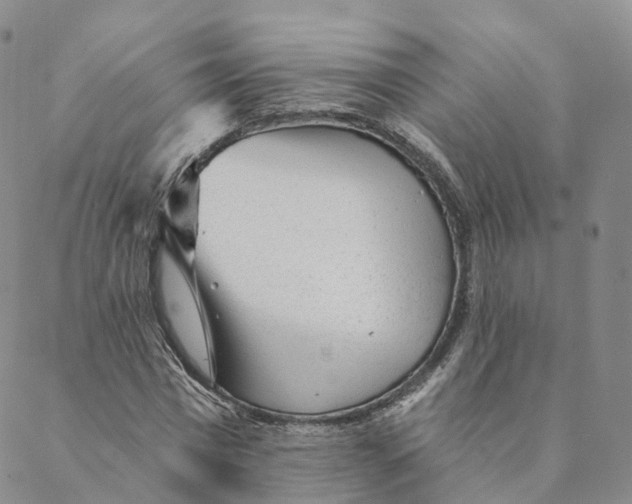 X0000088450777200706121438