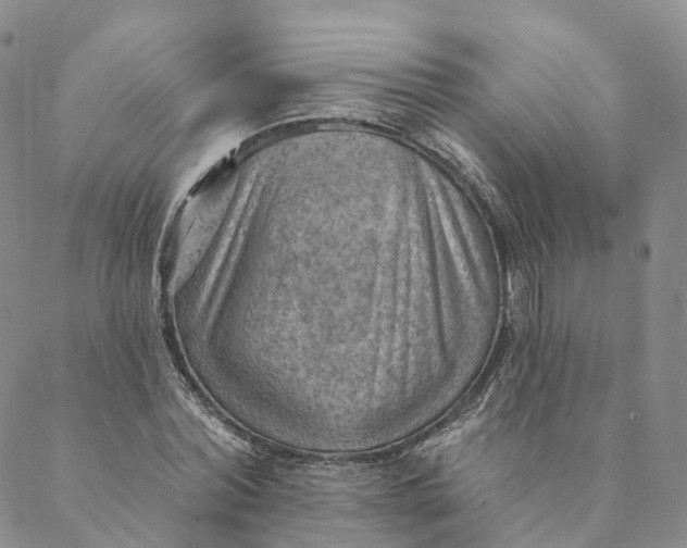 X0000088450780200706121438