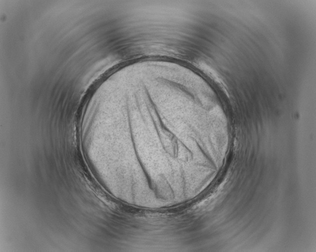 X0000088450782200706121438