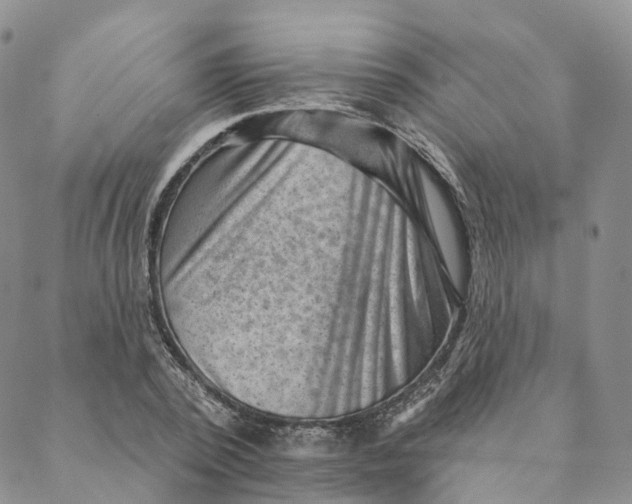X0000088450784200706121438