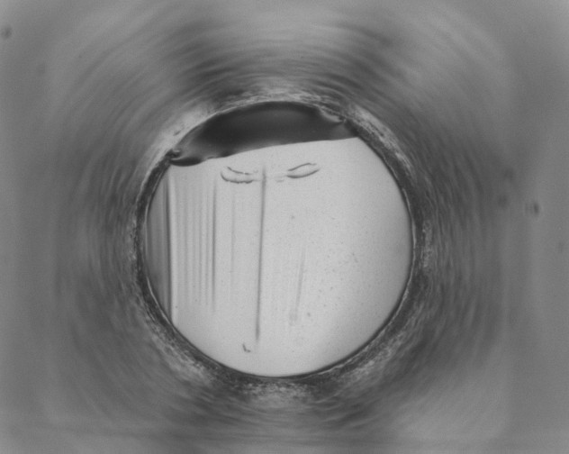 X0000088450786200706121438