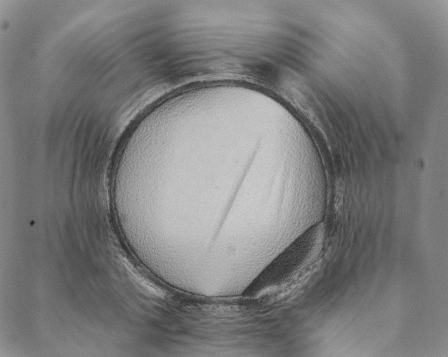 X0000088450789200706121438