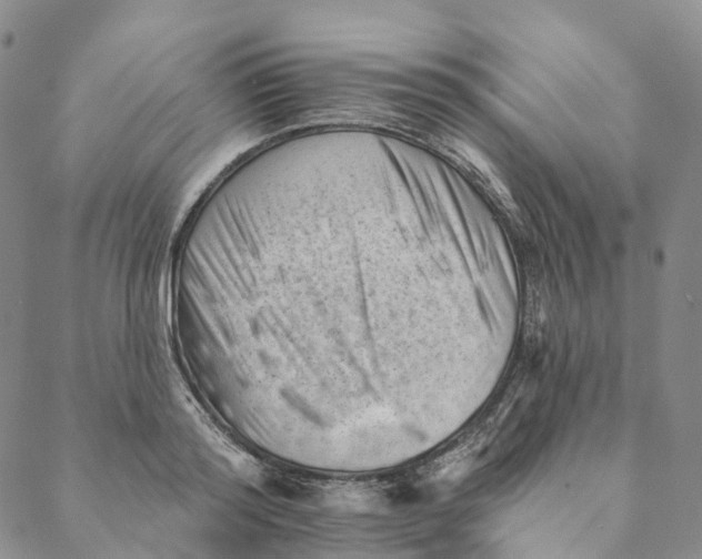X0000088450796200706121438