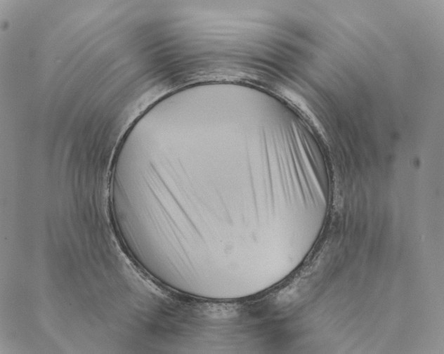 X0000088450802200706121437