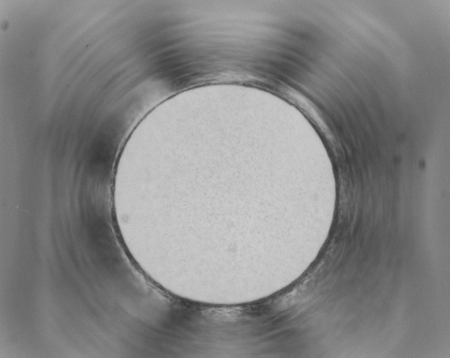 X0000088450810200706121437