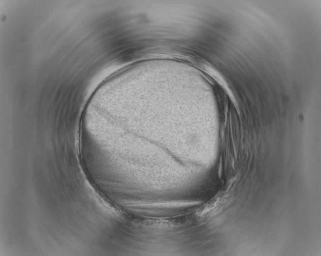 X0000088450811200706121437
