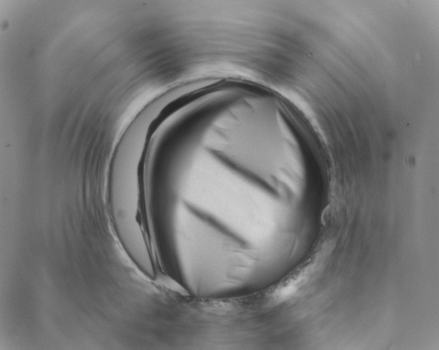X0000088450815200706121437