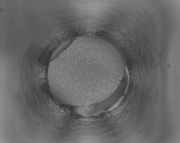 X0000088450818200706121436