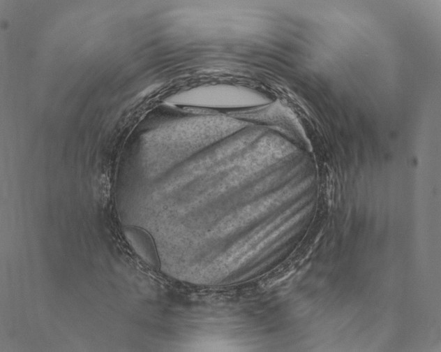 X0000088450821200706121437