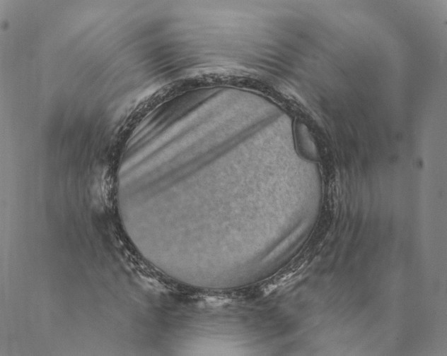 X0000088450822200706121437