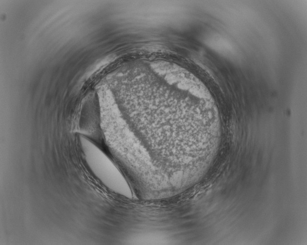 X0000088450823200706121437