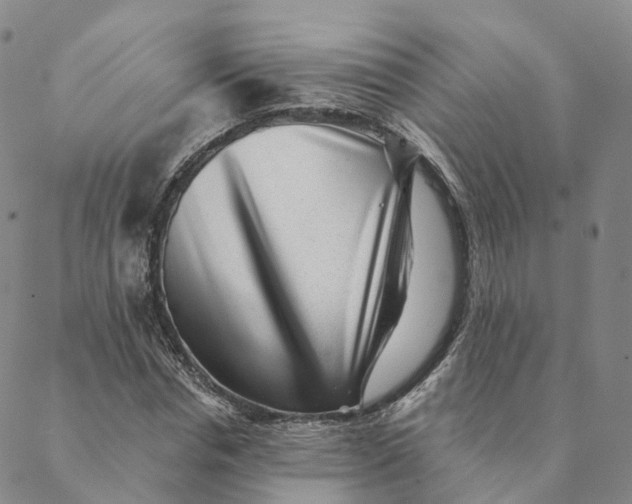X0000088450826200706121437