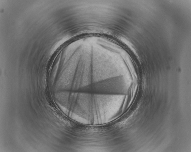 X0000088450829200706121437