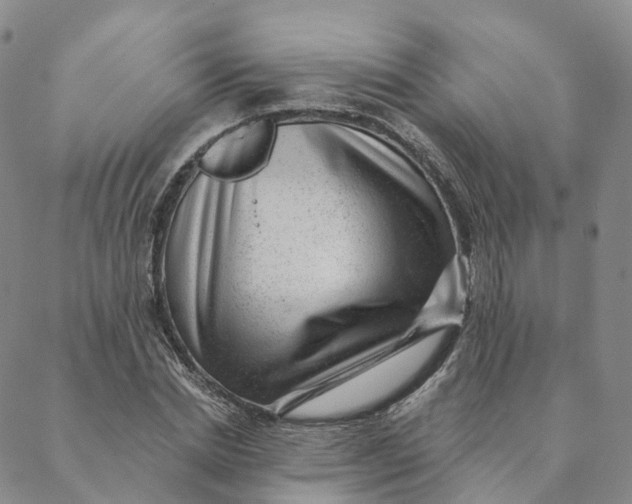 X0000088450830200706121437