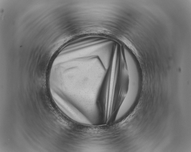 X0000088450834200706121437