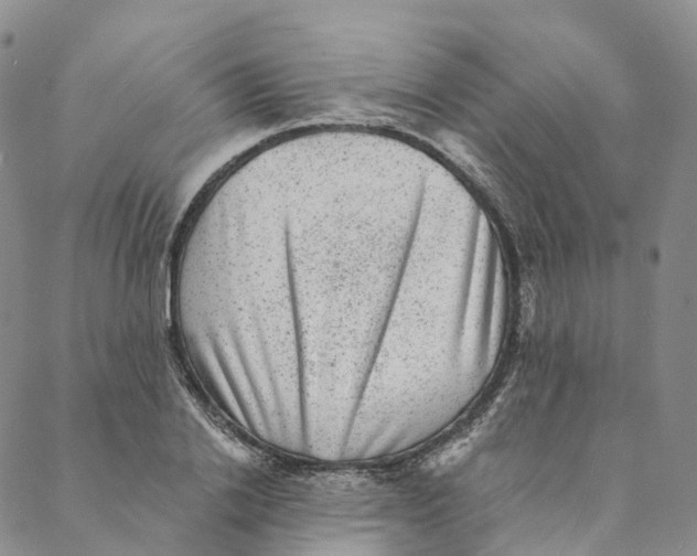 X0000088450838200706121437