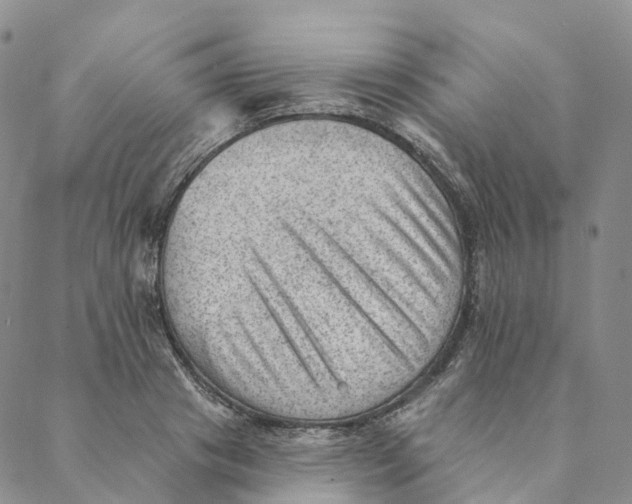 X0000088450841200706121437