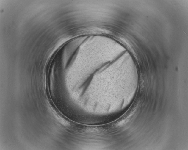 X0000088450843200706121437
