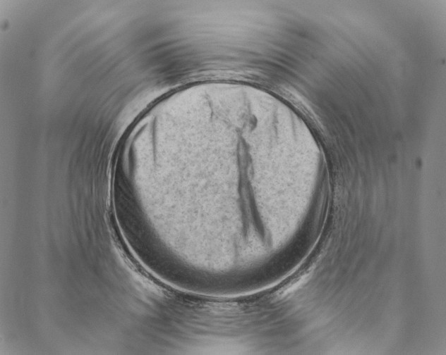 X0000088450844200706121437