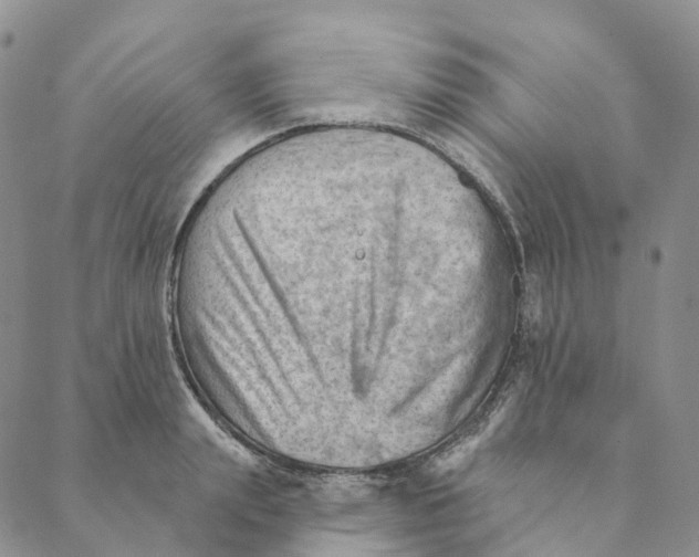 X0000088450847200706121437