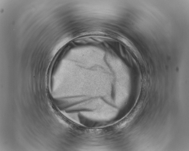 X0000088450858200706121437